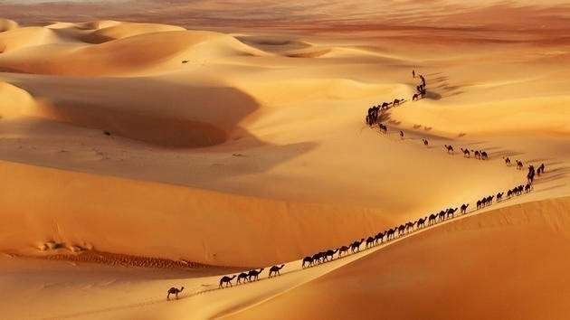 Una caravana de camellos en la frontera entre Arabia y Emiratos.
