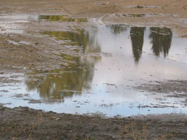 La soledad se ve reflejada en muchos sitios