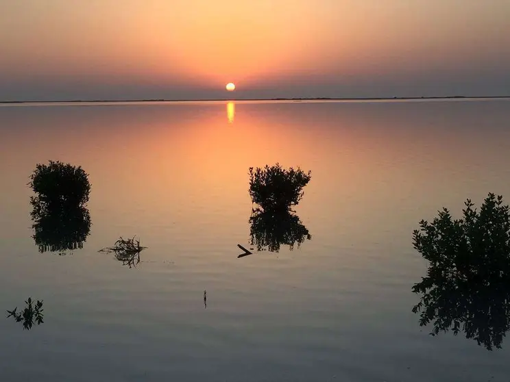 Una puesta de sol en las marismas de Ras Al Khaimah.