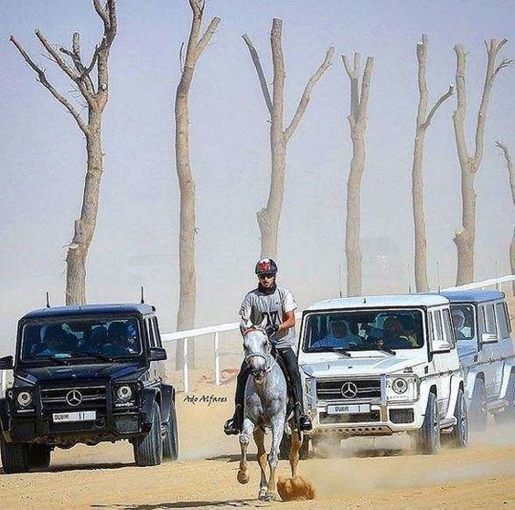 Una imagen de la carrera de resistencia de caballos en Dubai.