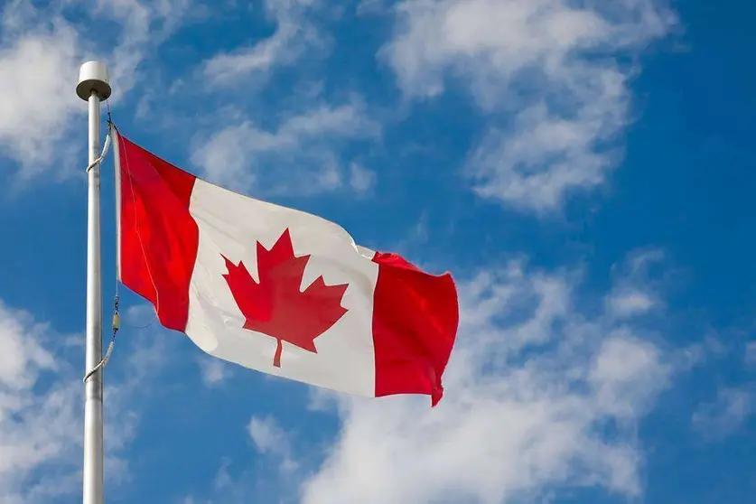 Canadá precisa gran variedad de profesionales.