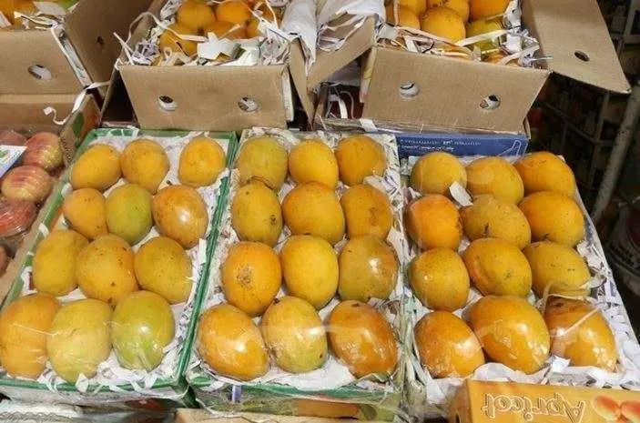 Imagen de mangos procedentes de la India en el Mercado de Frutas y Verduras de Dubai.