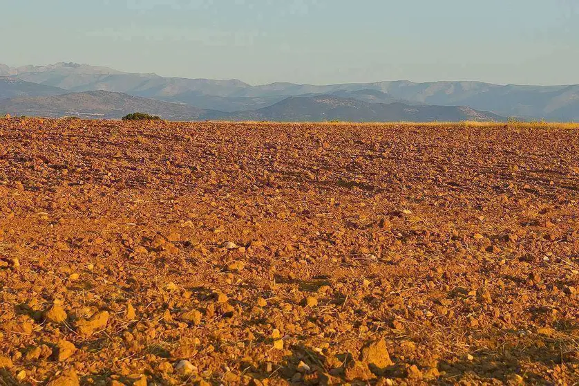 Un terreno sin edificar. (@ondasderuido, Flickr)