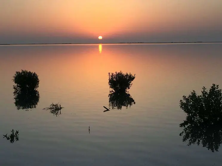 Atardecer sobre los manglares de Ras Al Khaimah. (Marta Pérez)