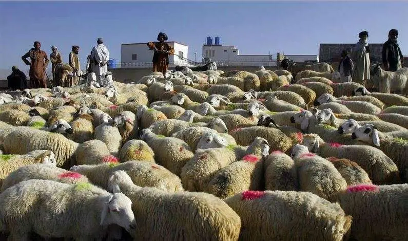 La festividad del Eid Al Adha depende de la visualización de la luna.