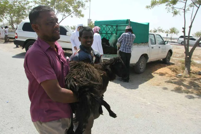 Traslado de un cordero en el mercado Ras Al Khaimah. (R. Pérez)