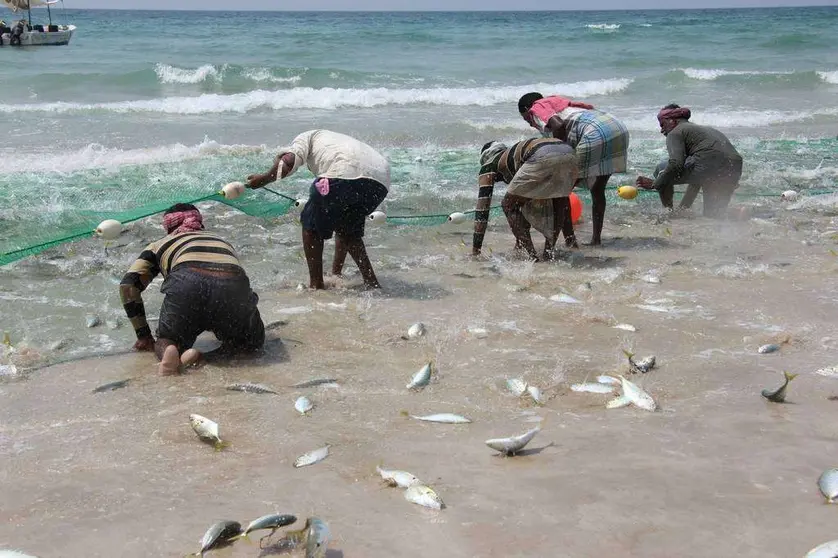 Pescadores recogen sus capturas en la playa de Sha'am, en el norte de Ras Al Khaimah. (EL CORREO)