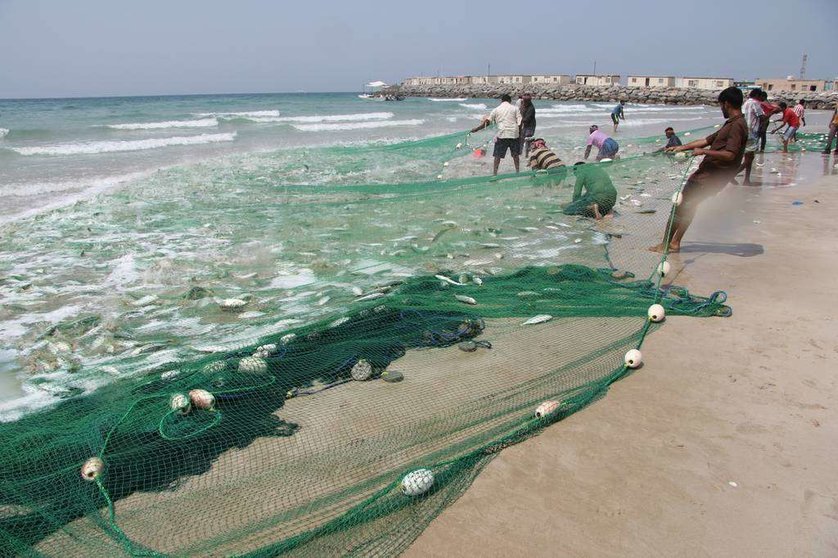 Pescadores recogen sus capturas en la playa de Sha'am, en el norte de Ras Al Khaimah. (R. Pérez)