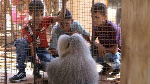 Said junto a un grupo de niños sirios en el zoo de Alepo.