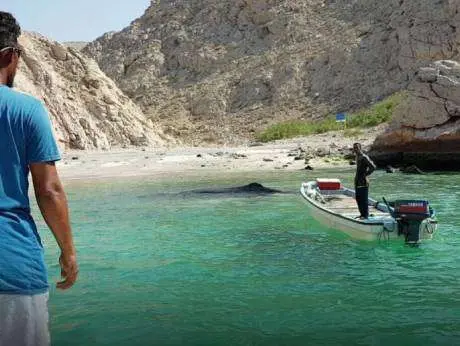 El pescador de Omán con la ballena al fondo.