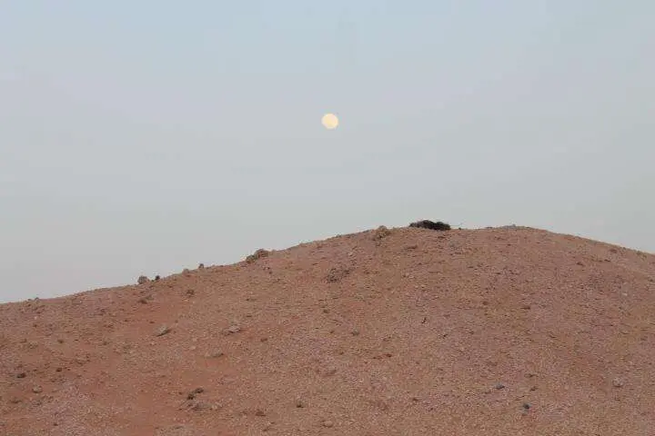 La plantación se encontraba en un lugar remoto de Dubai.