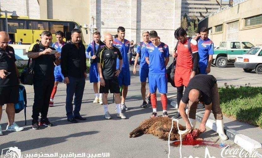 Momento del sacrificio de la oveja por parte de la Selección de fútbol de Irak.