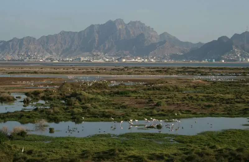 La reserva natural Al Hiswa en Adén.