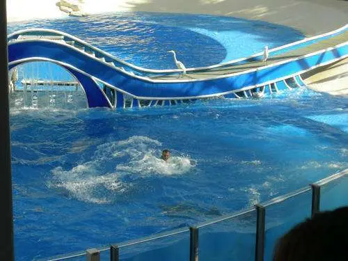 El parque SeaWorld en Orlando, Estados Unidos.