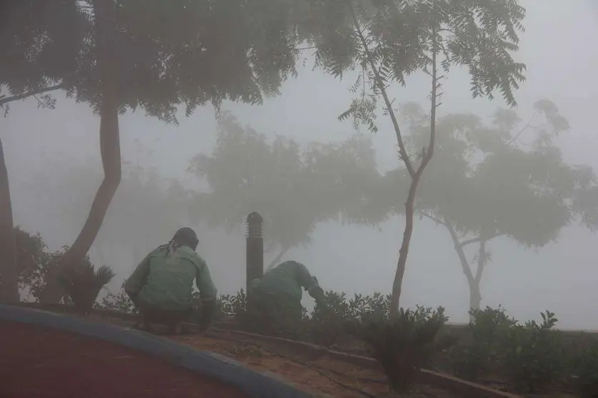 Operarios atienden rodeados de la niebla los jardines de la Corniche de Ras Al Khaimah tras la larga noche del Día Naciona. (R. Pérez)