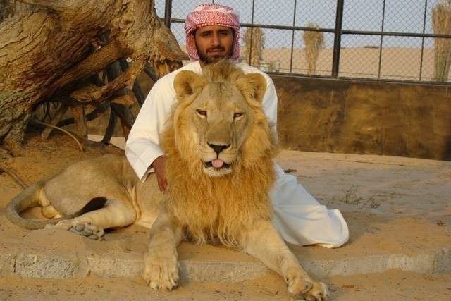 Mohammed Al Kumaiti compró un cachorro de león por 50.000 dirhams.