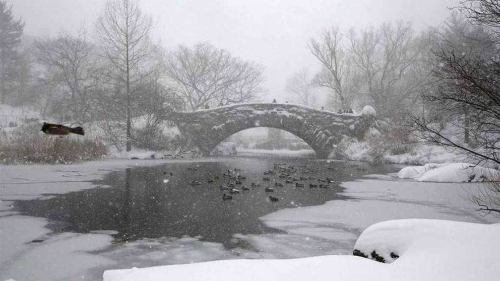 En la imagen de Reuters, Central Park nevado.