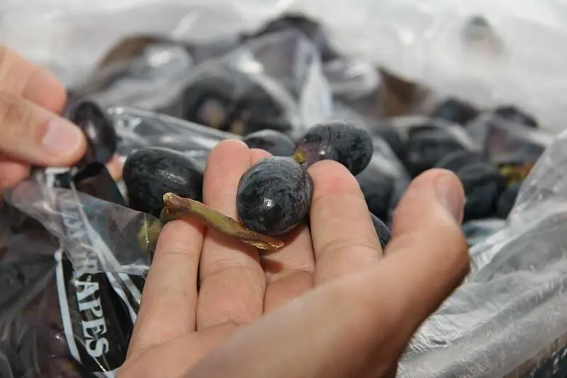 Uvas en el mercado de frutas y verduras de Dubai. (EL CORREO)