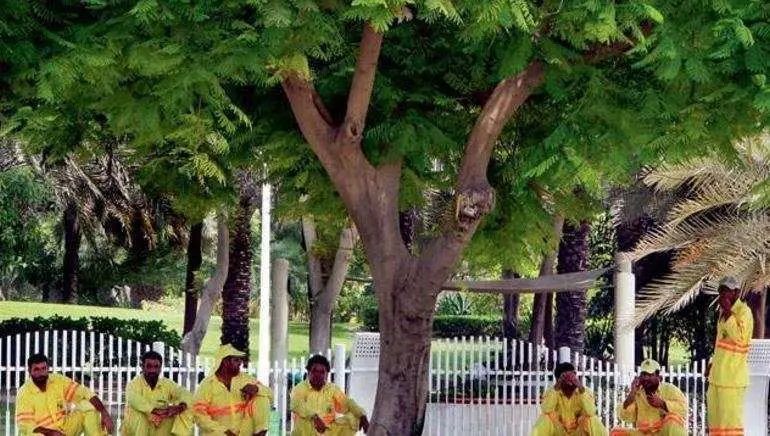 Trabajadores al aire libre en Dubai.