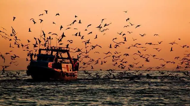 Un barco pesquero regresa a puerto. (Hernán Piñera, Flickr)