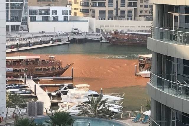 El agua de Dubai Marina adquirió un intenso tono anaranjado por una filtración procedente de una obra. (Stewart Clarke, The National)