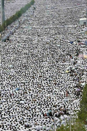 Peregrinos en el Hajj de este año. (@samboltahae, Twitter)
