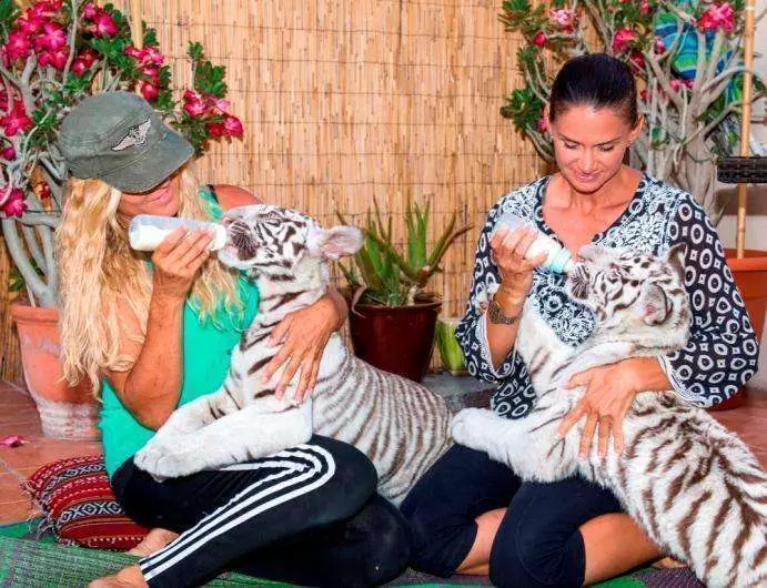 Voluntarios atienden a aninales en Ras Al Khaimah Wildlife Park. (Cedida)