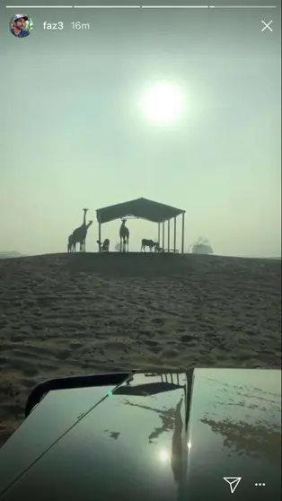 Una de las fotografías publicadas por Sheikh Hamdan. (@faz3)