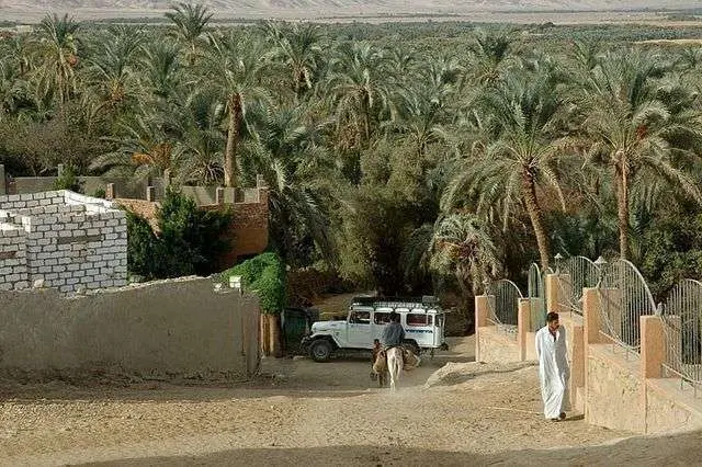 Oasis de Bahariya.