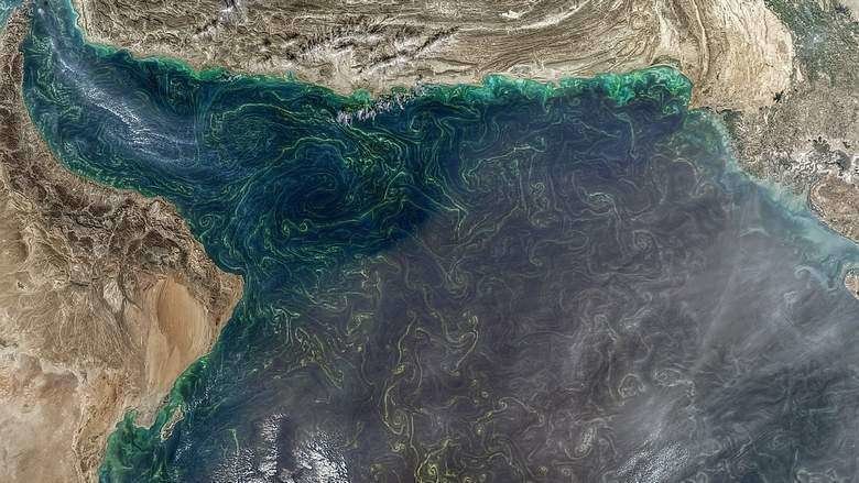 Imagen que demuestra la presencia de marea roja en las costas de Emiratos. (Cedida)