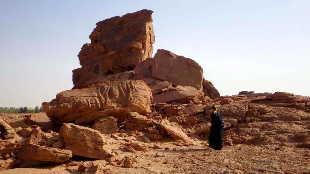 Un equipo de arqueólogos franco-saudí ha descubierto esculturas esculpidas de dromedarios a tamaño real en el noroeste del desierto Arabia Saudíita. (EFE)