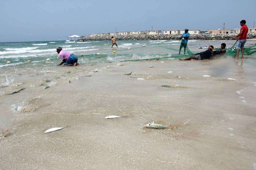 Pescadores recogen sus capturas en la playa de Sha'am, en el norte de Ras Al Khaimah. (R. Pérez)
