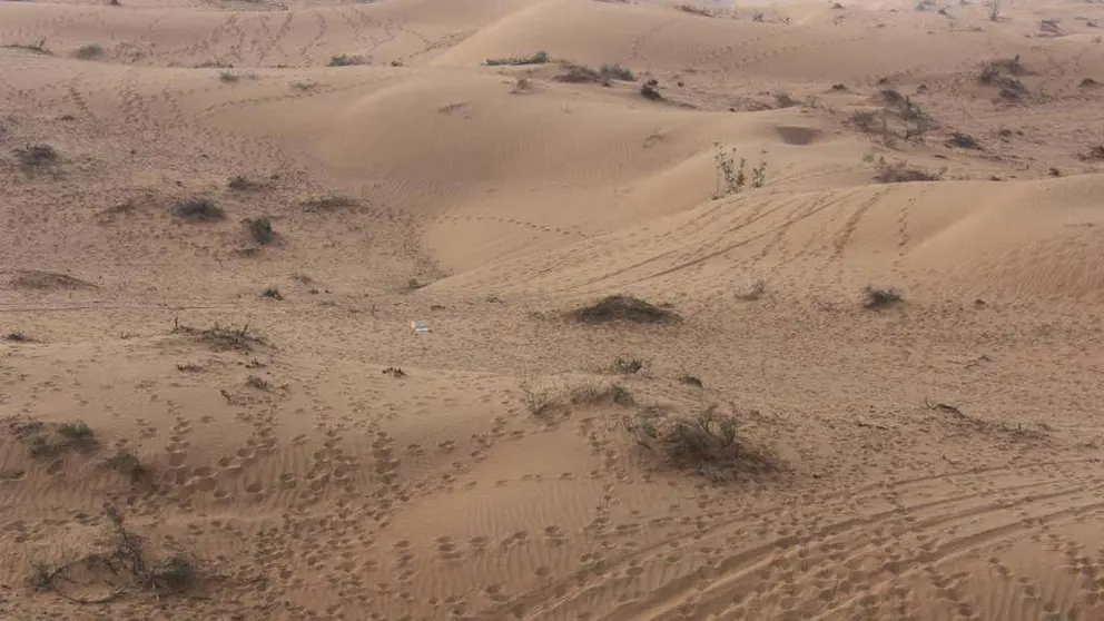 La duna donde se estrelló el avión en Sharjah.