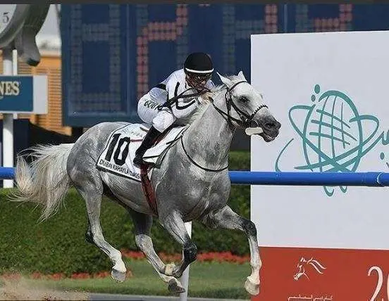 El jinete panameño este sábado en el hipódromo de Meydan en Dubai.