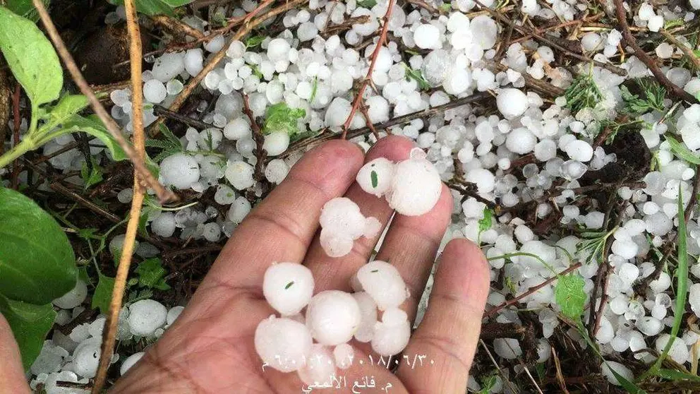 Granizo caído este sábado en Murrabba Park, en Arabia Saudita. (Faye Al Amai, Al Arabiya)