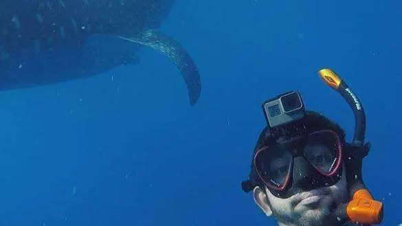 El jeque Hamdan bucea junto a los tiburones.