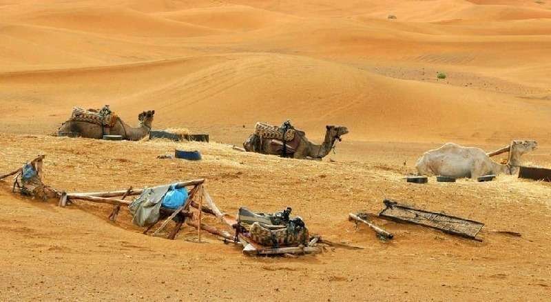 Una imagen del desierto en Emiratos Árabes.