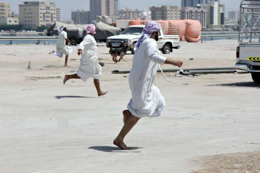 Persiguiendo a un cordero a la fuga en el mercado de Ras Al Khaimah. (R. Pérez)