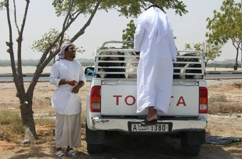 Imagen del mercado de corderos de Ras Al Khaimah. (R. Pérez)