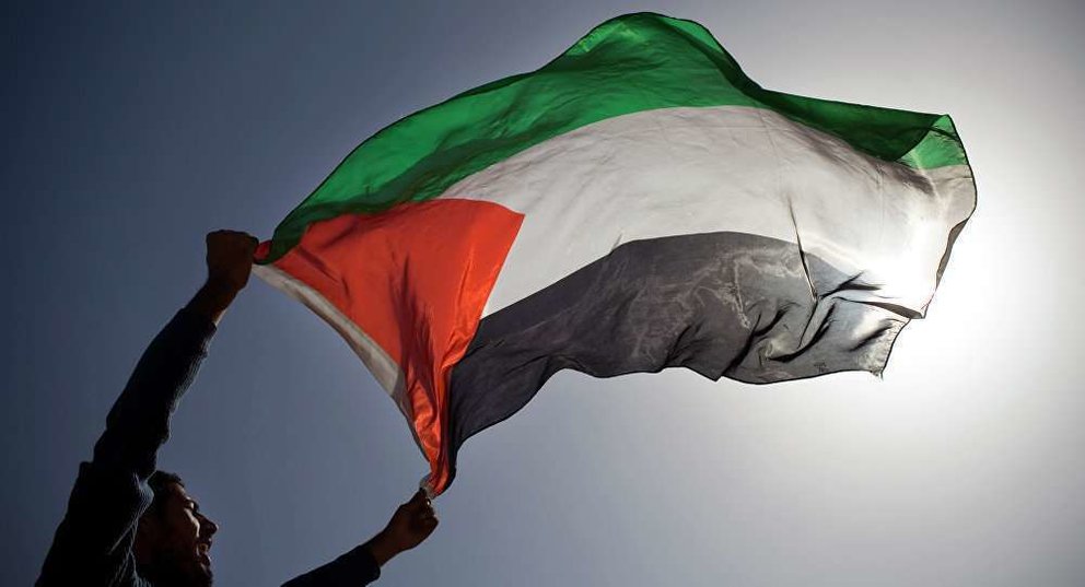 Ciudadano ondea la bandera de Palestina. 