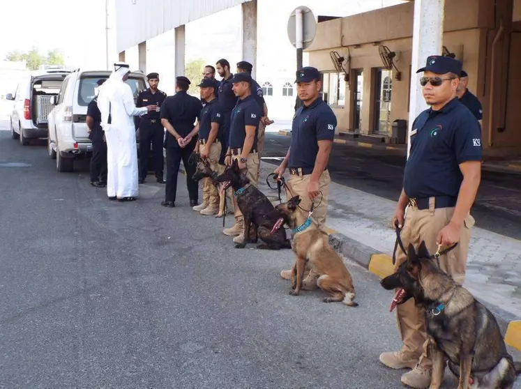 Una imagen de los perros aduaneros junto a sus entrenadores.