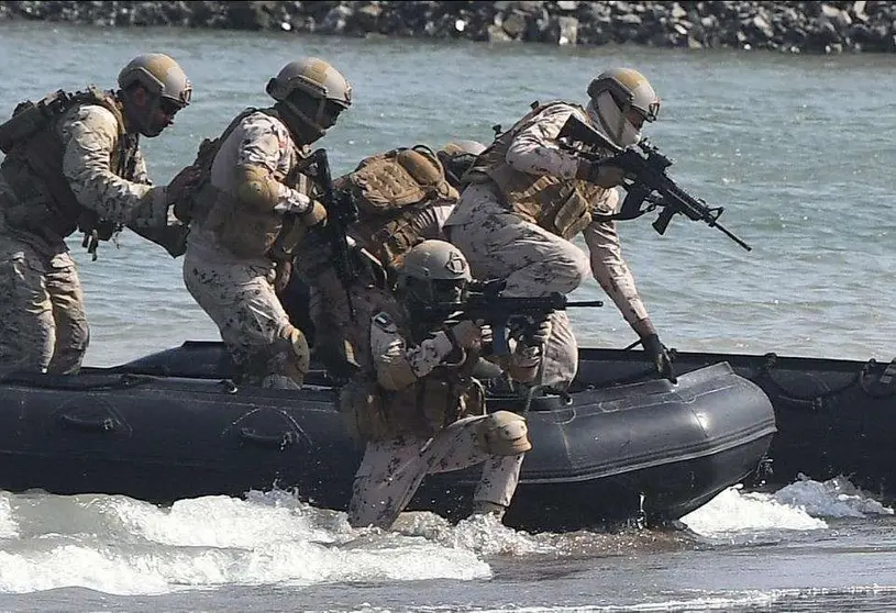 Exhibición militar de las Fuerzas Armadas de EAU.