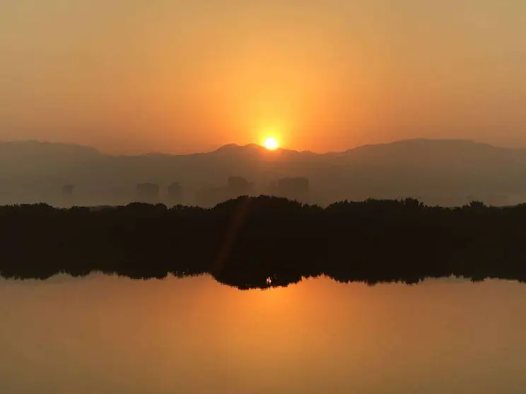 Amanecer sobre los manglares de Ras Al Khaimah con las montañas de fondo en el 1 de enero 2019. (EL CORREO)