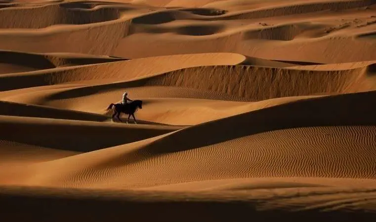 Una de las fotografías ganadoras del concurso de Abu Dhabi.