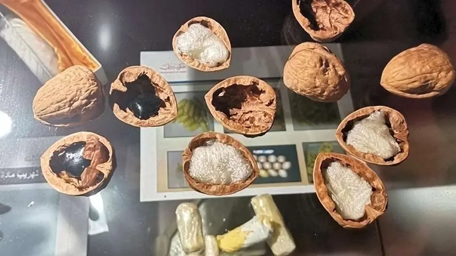 Droga oculta en nueces interceptada en el Aeropuerto de Dubai. (Aduanas de Dubai)