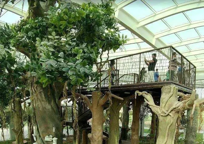 Visitantes recorren el Parque Coránico de Dubai. (Google Maps)