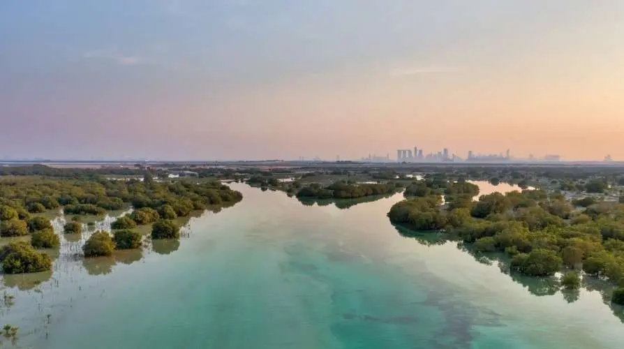 Impresionantes vistas desde la Isla Jubail en Abu Dhabi.