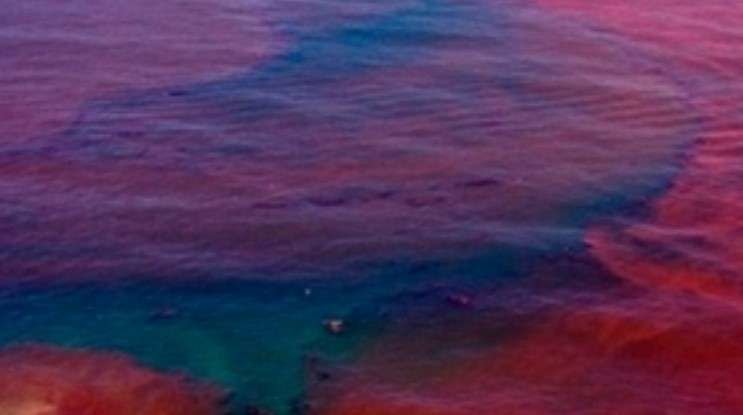 Una imagen de las "aguas rojas" en Ras Al Khaimah.