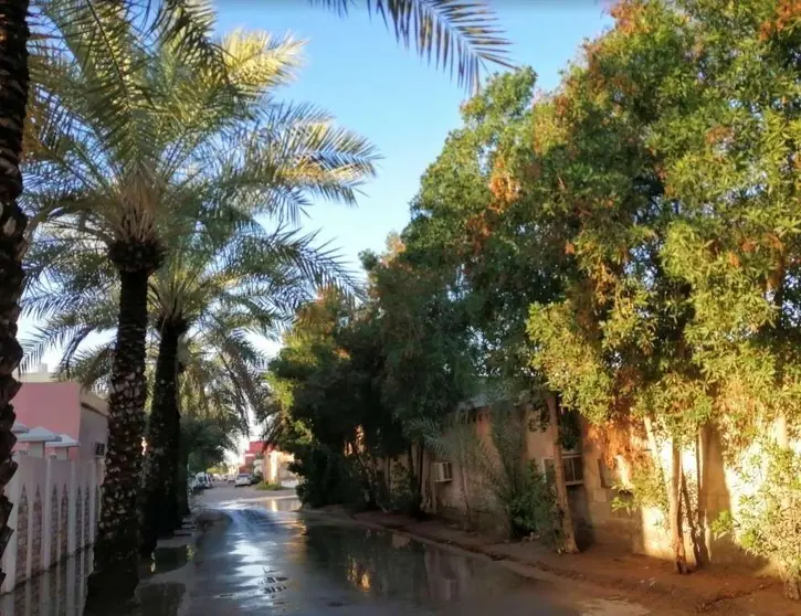 Lluvia y sol en Emiratos Árabes Unidos. (EL CORREO)