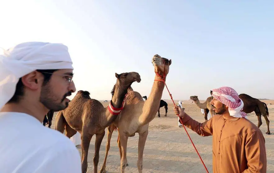 Festival de Al Dhafra en Abu Dhabi. (WAM)